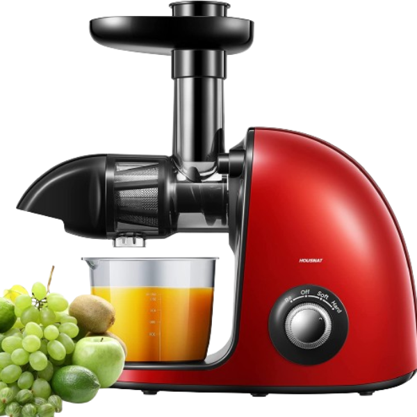Cold Press Juicer Extractor with 2-Speed Modes